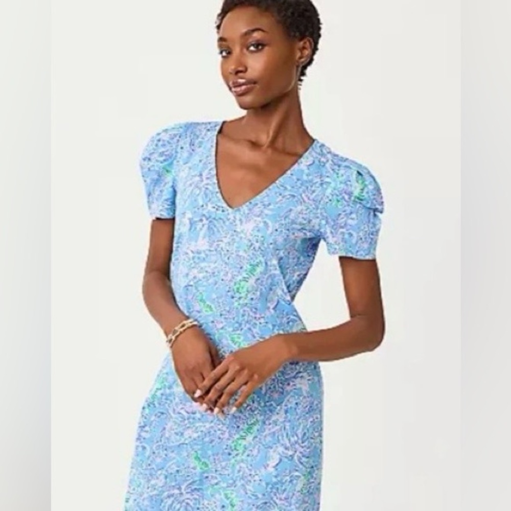 Nwot Lilly Pulitzer Aleece Blue Floral V-Neck Puff Sleeve Dress
Size Large